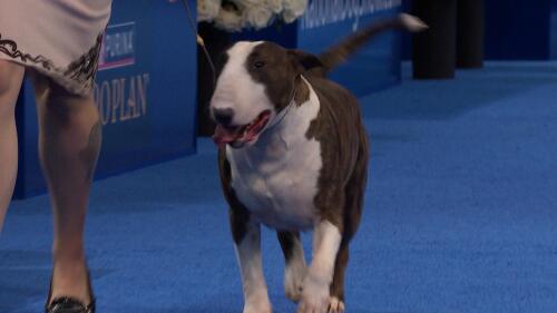 凯发K8天生赢家 一触即发